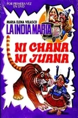 Póster de la película Ni Chana, ni Juana