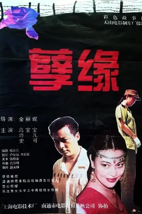 Película 孽缘