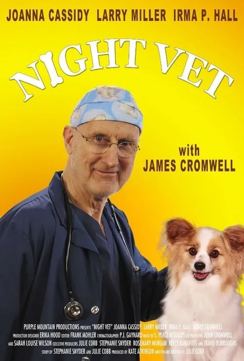 Póster de la película Night Vet