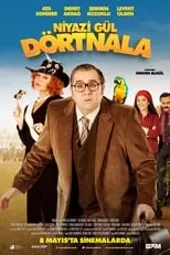 Poster de la película Niyazi Gül Dörtnala - Películas hoy en TV