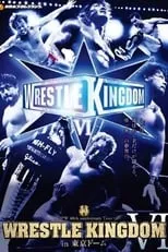 Poster de la película NJPW Wrestle Kingdom VI - Películas hoy en TV