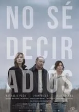 Poster de la película No sé decir adiós - Películas hoy en TV