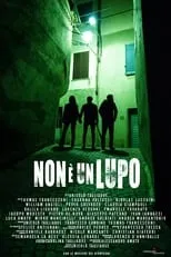 Película Non è un lupo