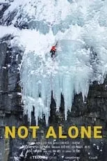 Poster de Not Alone