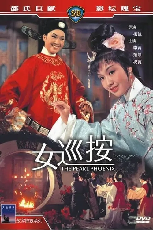 Póster de 女巡按