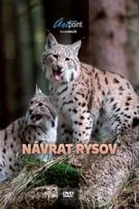 Película Návrat rysov