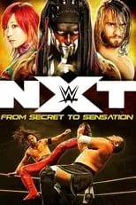 Shinsuke Nakamura es  en NXT: From Secret To Sensation