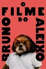 Poster de O Filme do Bruno Aleixo