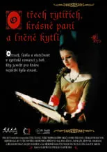 Portada de O třech rytířích, krásné paní a lněné kytli