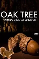 Poster de la película Oak Tree: Nature's Greatest Survivor - Películas hoy en TV