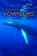 Póster de la película Ocean Voyagers