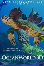 Poster de la película OceanWorld 3D - Películas hoy en TV