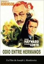 Póster de la película Odio entre hermanos