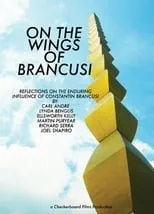 Película On The Wings of Brancusi