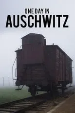 Poster de la película One Day in Auschwitz - Películas hoy en TV