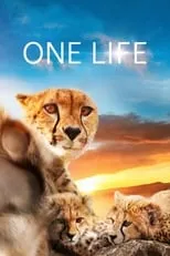 Poster de One Life