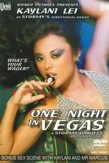 Poster de One Night in Vegas