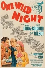 Póster de One Wild Night