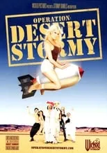 Poster de Operation: Desert Stormy