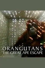 Póster de la película Orangutans: The Great Ape Escape