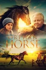 Poster de la película Orphan Horse - Películas hoy en TV