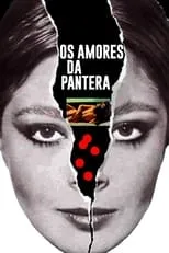 Os Amores da Pantera portada