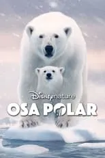 Poster de la película Osa Polar - Películas hoy en TV