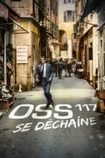 Película OSS 117 se déchaîne