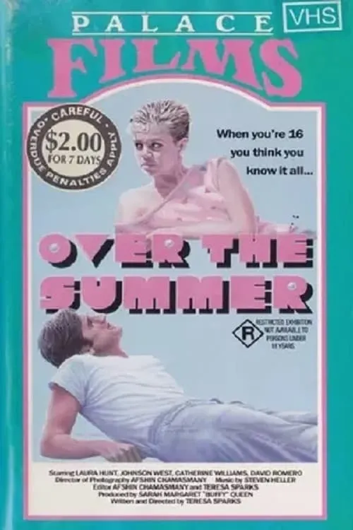 Póster de la película Over the Summer