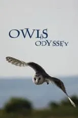 Película Owl's Odyssey