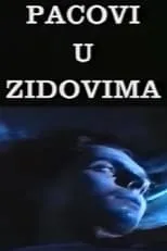 Pacovi u zidovima portada