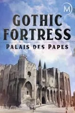 Portada de Palais des papes, forteresse gothique