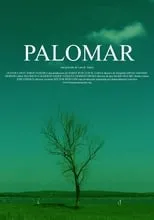 Película Palomar