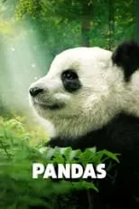 Póster de la película Pandas: El Camino a Casa