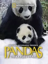 Póster de la película Pandas: The Journey Home