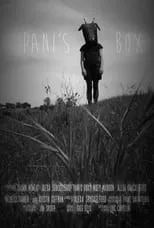 Póster de la película Pani's Box