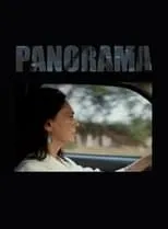 Póster de la película Panorama