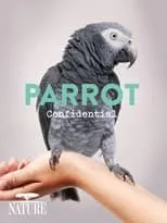 Allison Argo interpreta a Narrator en Parrot Confidential