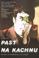 Película Past na kachnu