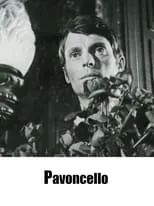 Portada de Pavoncello