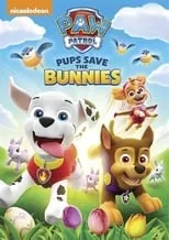 Poster de la película Paw Patrol:  Pups Save the Bunnies - Películas hoy en TV