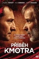 Póster de la película Příběh kmotra