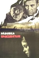 Película Pădurea spânzuraţilor