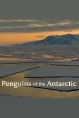 Póster de la película Penguins of the Antarctic