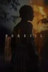 Poster de Perejil