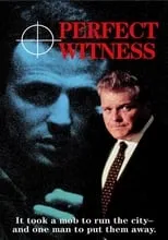 Película Perfect Witness