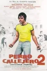 Póster de la película Perro callejero 2