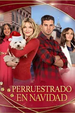 Poster de la película Perruestrado en Navidad - Películas hoy en TV