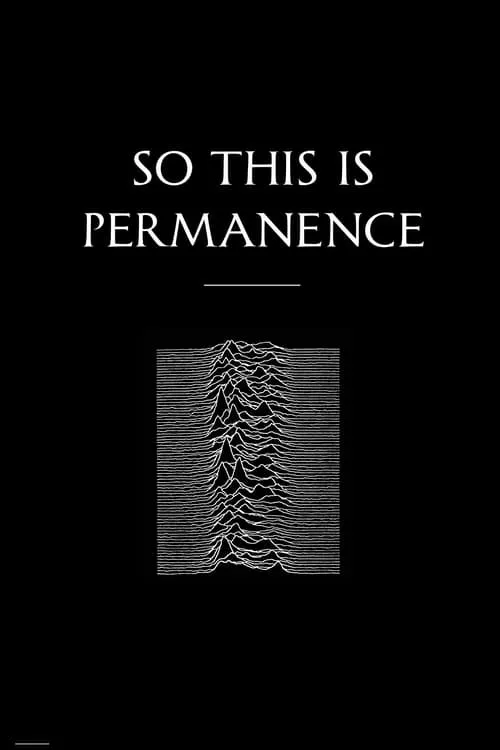 Poster de la película Peter Hook & The Light: So This Is Permanent - Películas hoy en TV