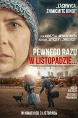 Poster de la película Pewnego razu w listopadzie - Películas hoy en TV